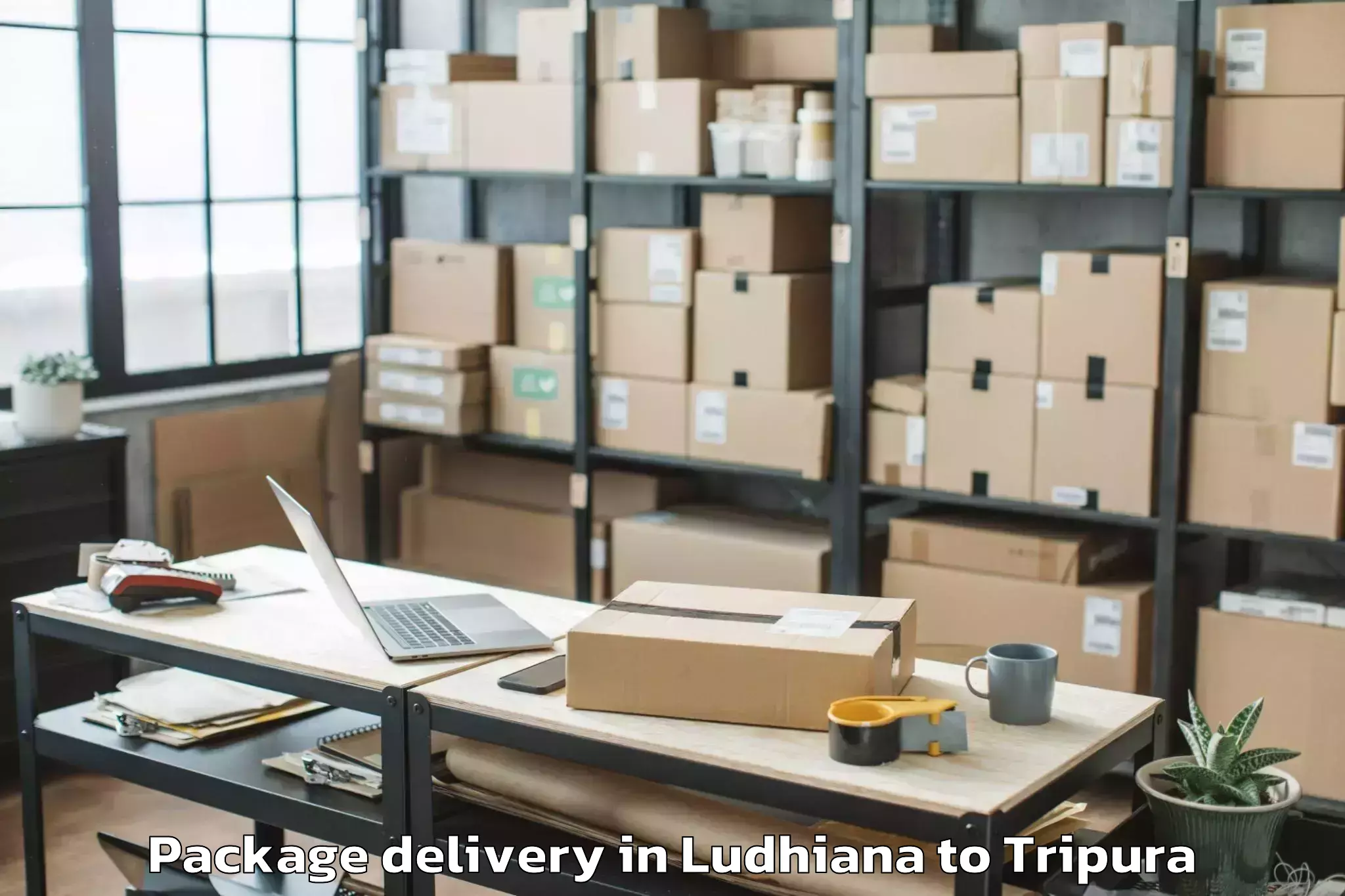 Easy Ludhiana to Ambassa Package Delivery Booking